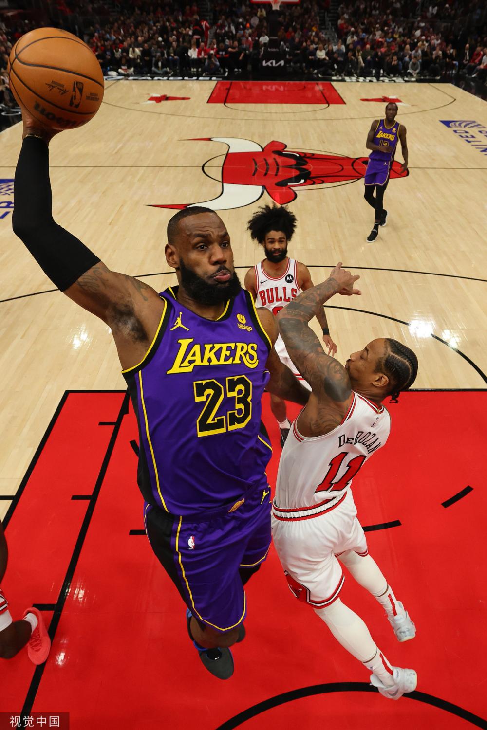 极引进欧洲 极引进欧洲